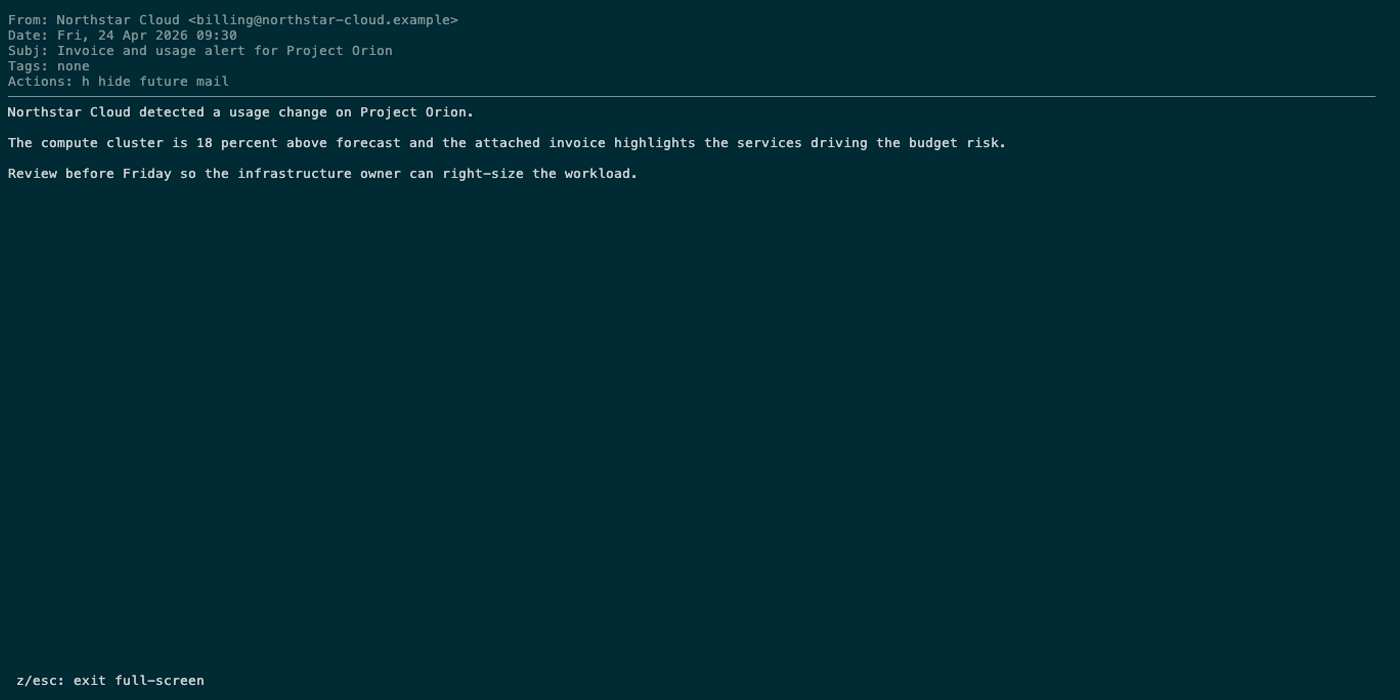 Full-screen email reader